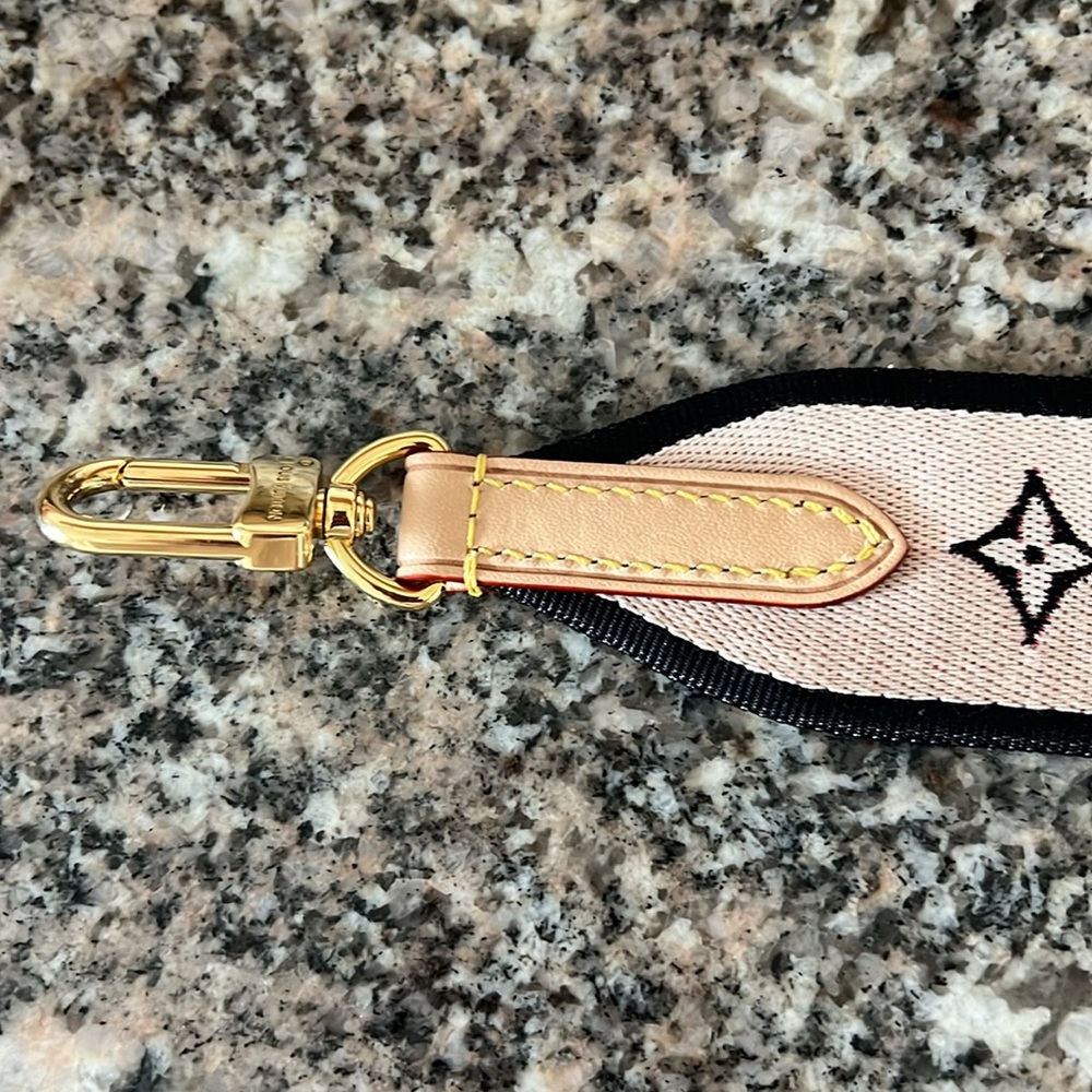 Louis Vuitton Bandouliere Speedy 20 Jacquard Shouder Strap - Picture 12 of 15